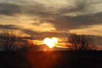 Il sole nel cuore. Poesia di Omar Preziuso