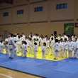 Il gruppo di judo