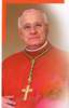 Ammaina la bandiera della nostra Diocesi in Vaticano, l’Arcivescovo Mons. Michele Di Ruberto collocato a riposo