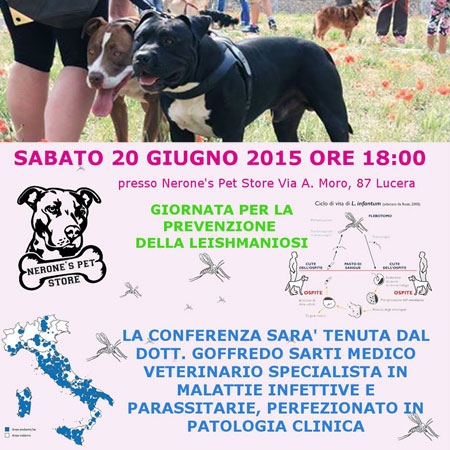Prevenzione Leishmaniosi: a Lucera incontro al Nerone's Pet Store con il veterinario Sarti