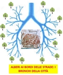 149 nuovi alberi a Foggia: per il Wwf primo passo per la ricostituzione dei bronchi della città