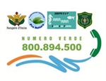 Segnalazione dei reati ambientali in Puglia: Numero Verde 800 894 500. Tra segnalazioni, riscontri e silenzi