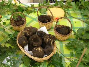 Roseto, Fiera del Prodotto Tipico