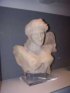 Riapertura dell'anfiteatro e del museo, occasioni importanti per il rilancio turistico