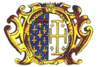 Gruppo di Sbandieratori e Musici 'GLI ANGIOINI'